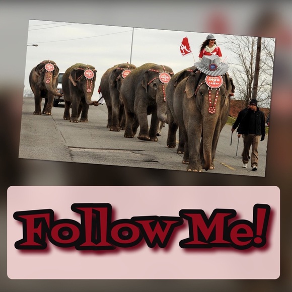 Welcome To Posh Circus at Poshmark =) - Picture 5 of 8